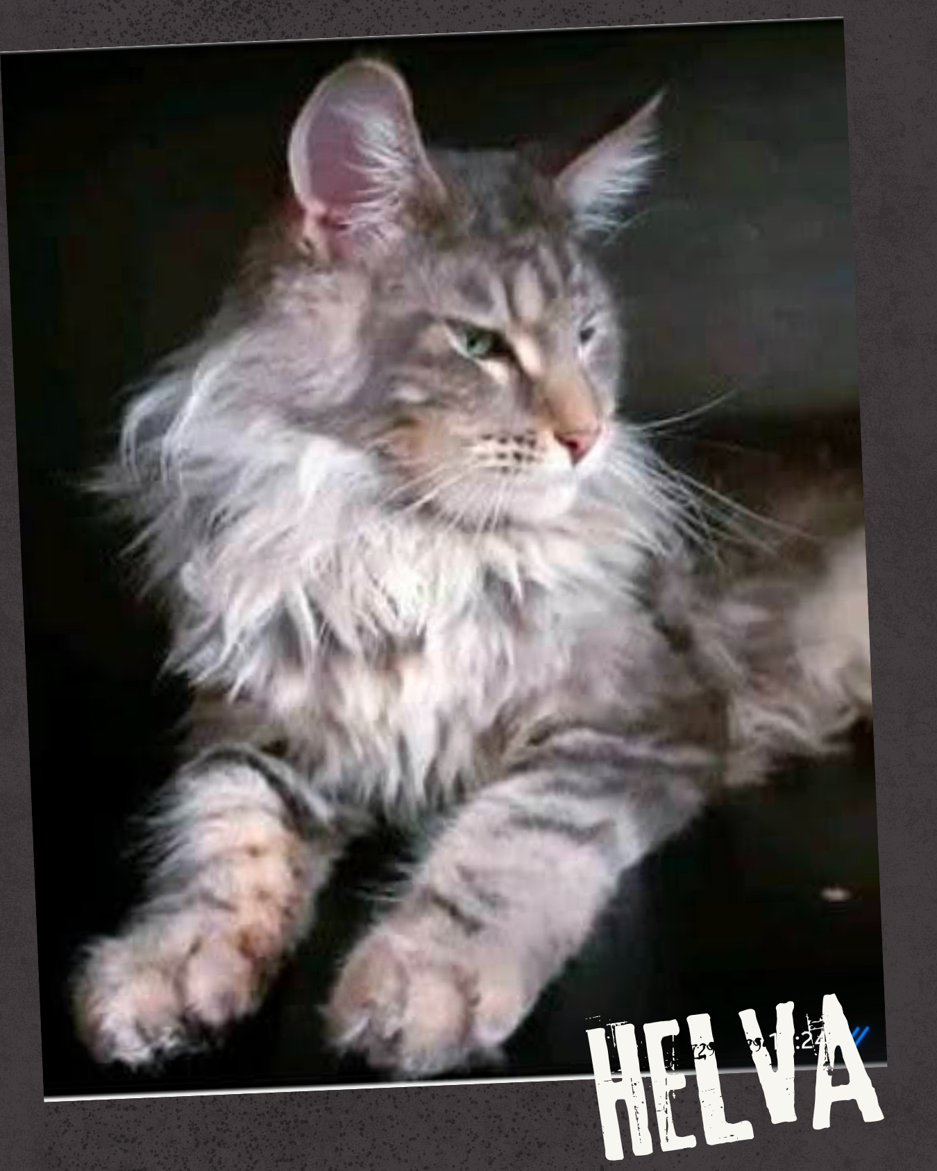 Helva 2