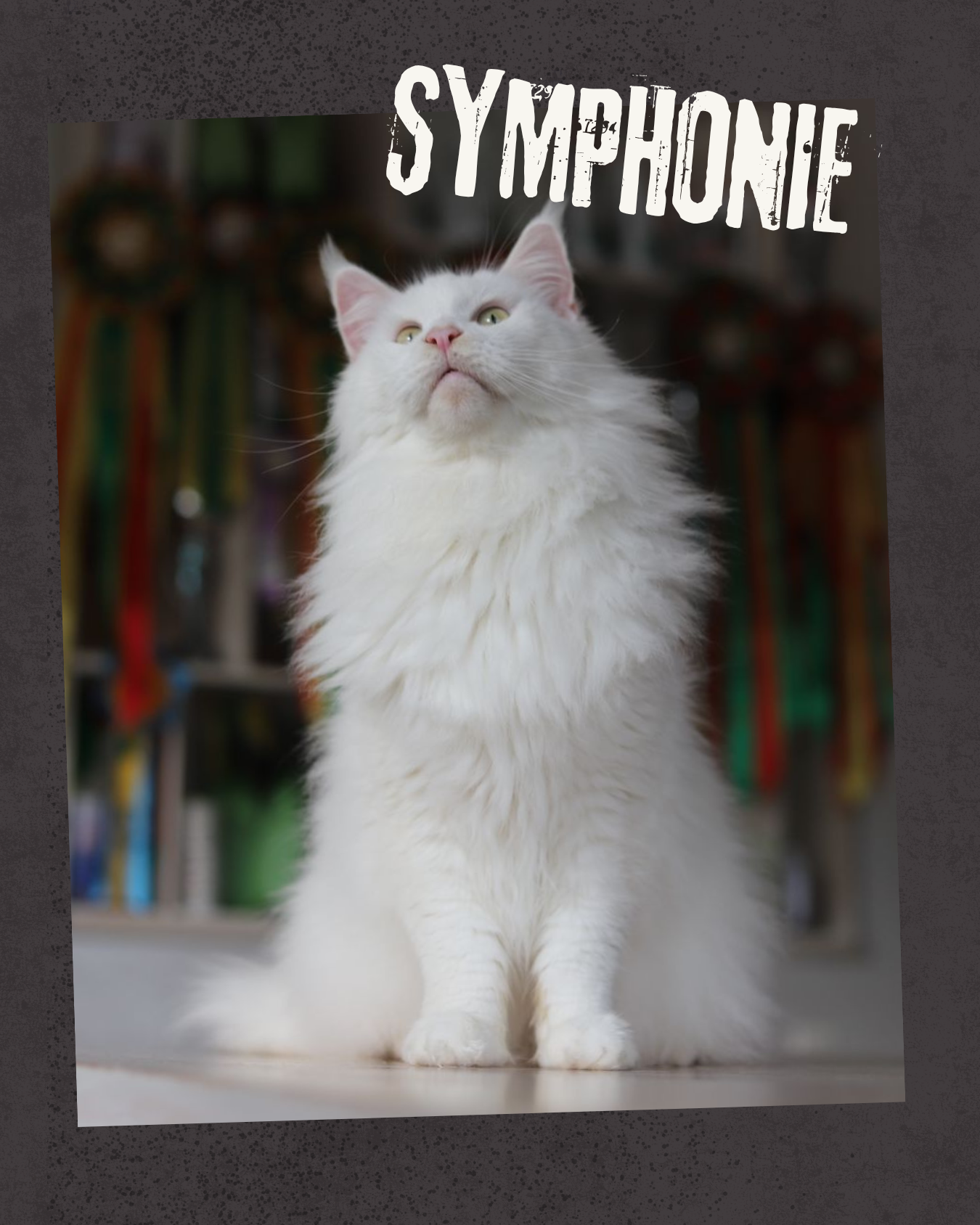 Symphonie 2