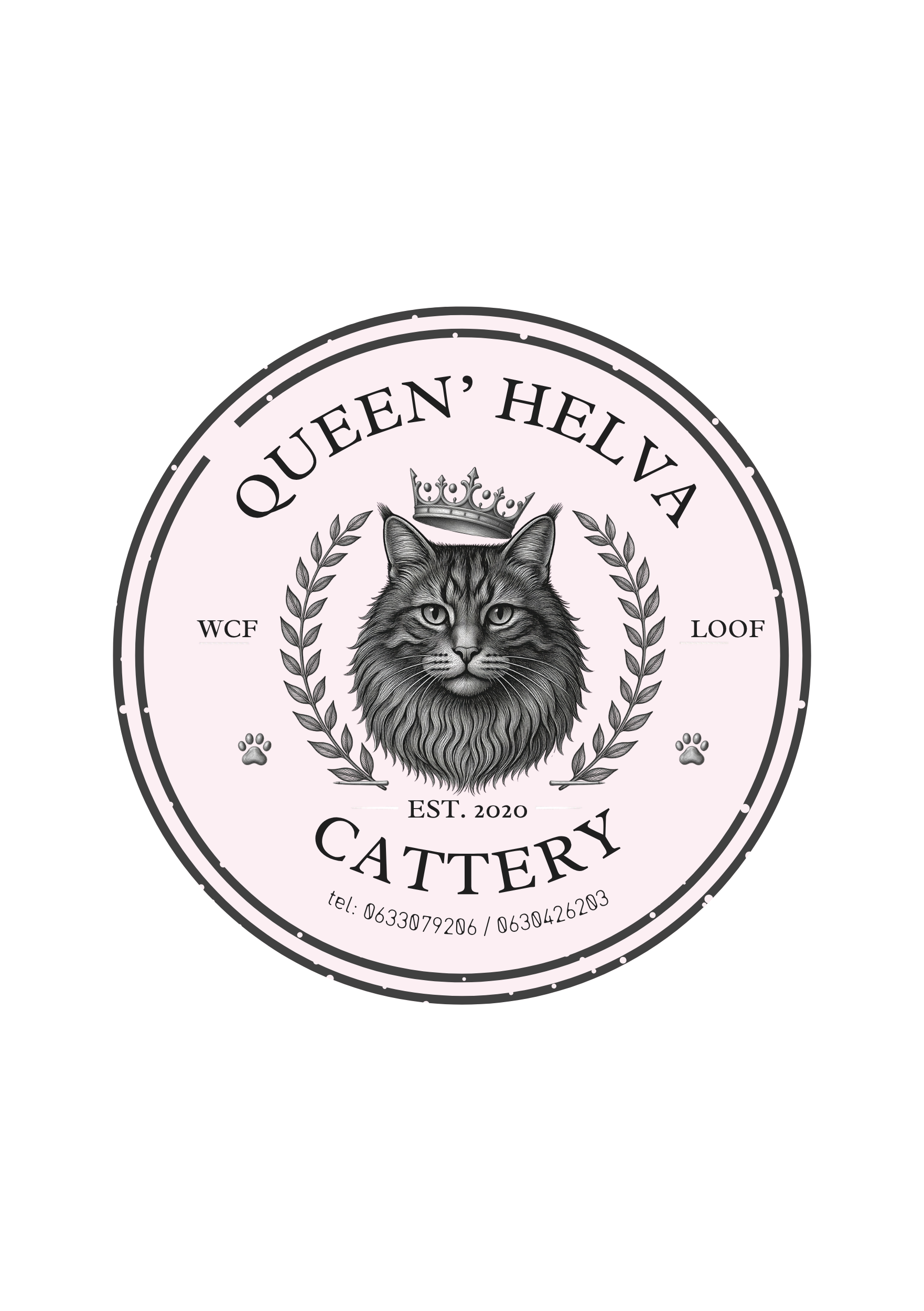 Queen'Helva Cattery